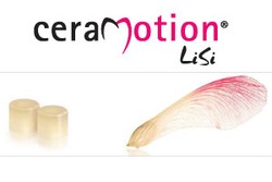 ceraMotion® LiSi - Nowy pełnoceramiczny system od Dentaurum